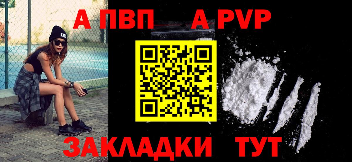 A-PVP СК Новодвинск