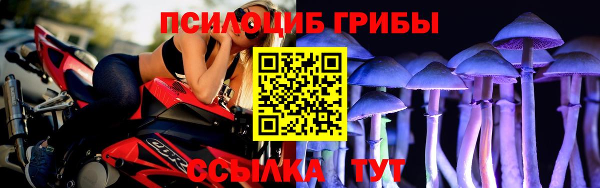 Галлюциногенные грибы Psilocybine cubensis  Вход с VPN  Новодвинск 